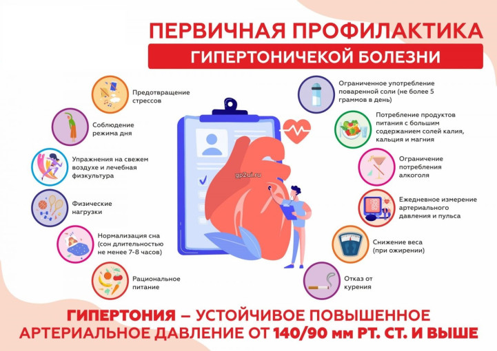 Первичная профилактика АГ Первичная профилактика АГ.